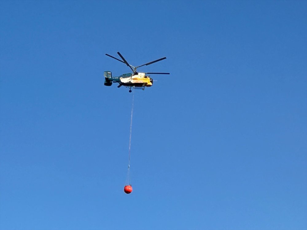 Uşak'ta çıkan orman yangınına karadan ve havadan müdahale sürüyor