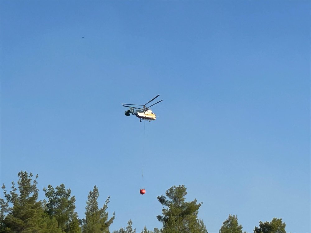 Uşak'ta çıkan orman yangınına karadan ve havadan müdahale sürüyor
