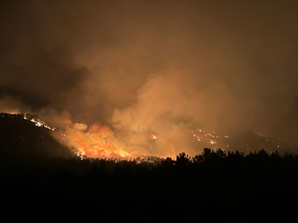 Uşak'ta çıkan orman yangınına karadan ve havadan müdahale sürüyor