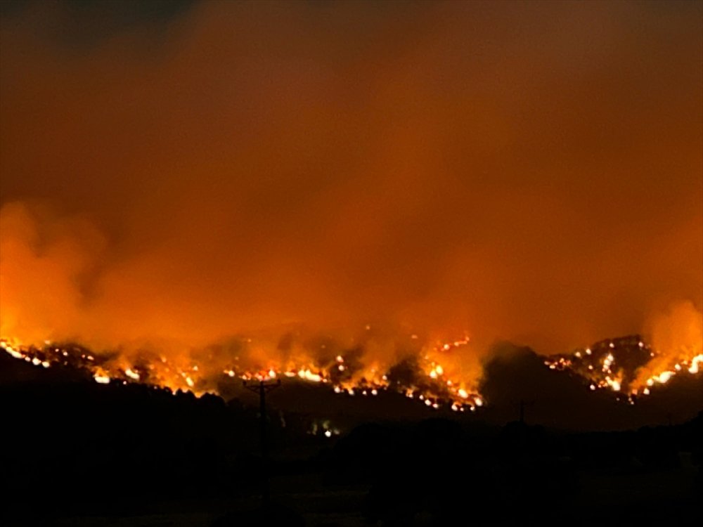 Uşak'ta çıkan orman yangınına karadan ve havadan müdahale sürüyor