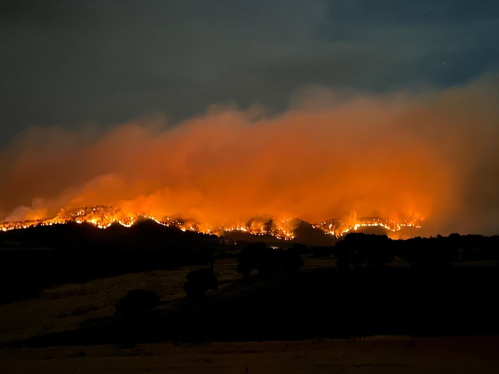 Uşak'ta çıkan orman yangınına karadan ve havadan müdahale sürüyor
