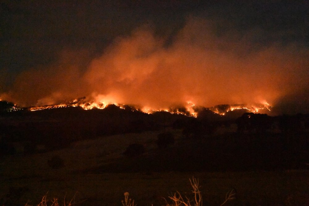 Uşak'ta çıkan orman yangınına karadan ve havadan müdahale sürüyor