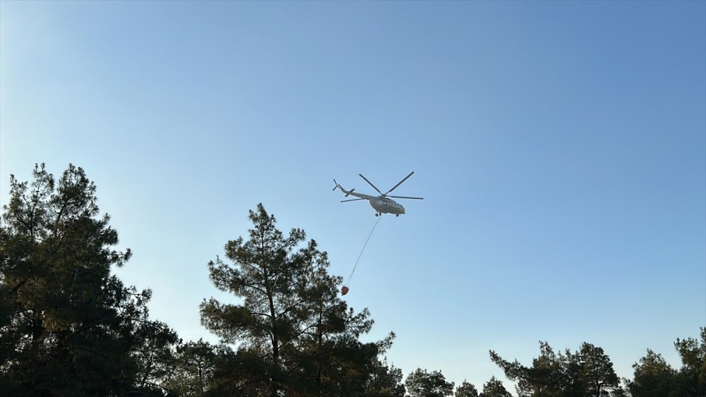 Uşak'ta çıkan orman yangınına karadan ve havadan müdahale sürüyor