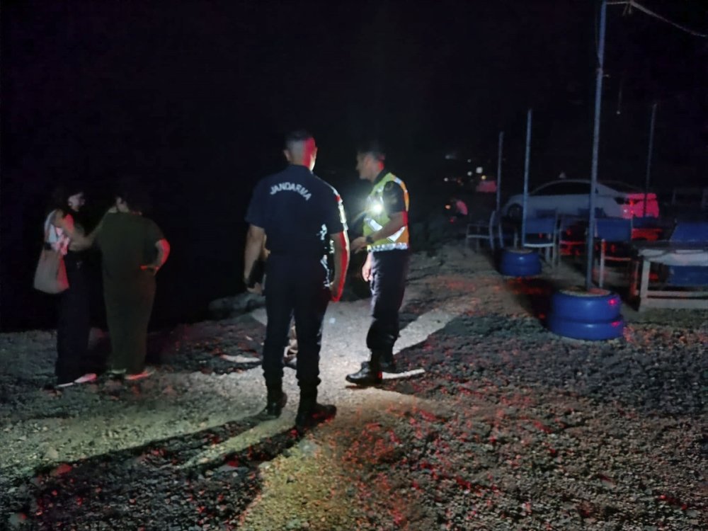 Hatay'da sürücüsünün el frenini çekmeyi unuttuğu kamyonet denize düştü