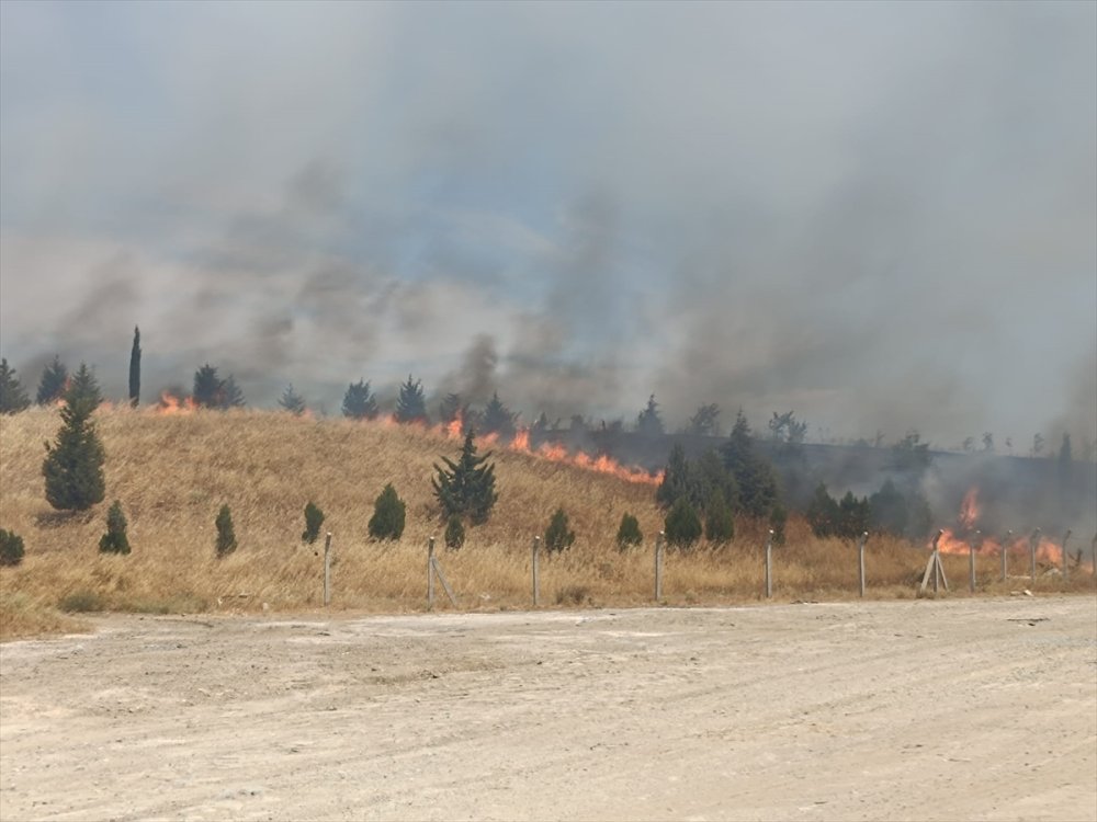 Edirne Keşan’da çıkan anız yangını söndürüldü