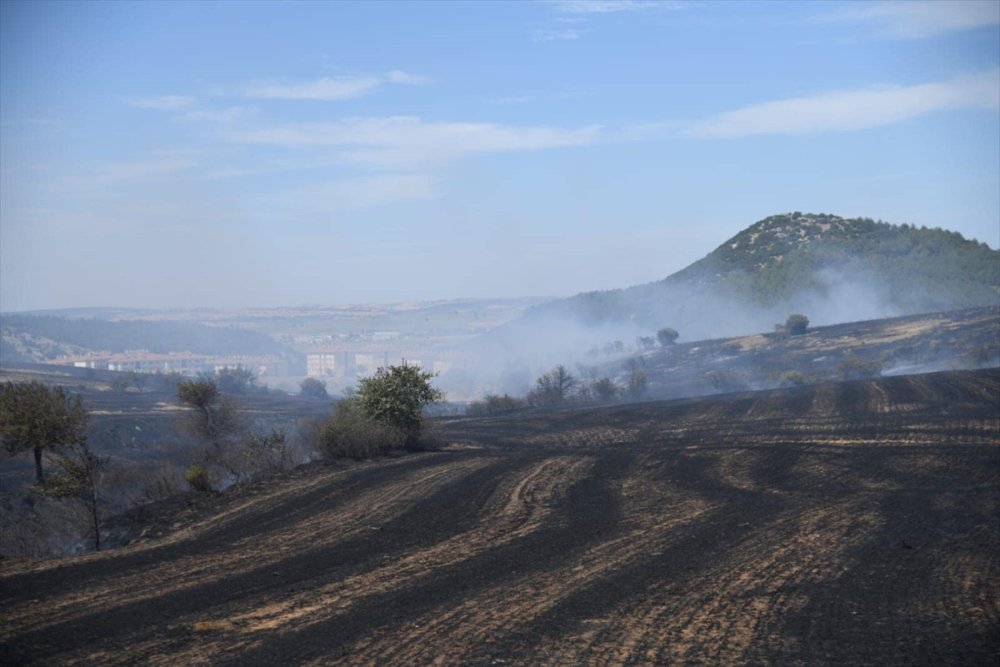 Edirne Keşan’da çıkan anız yangını söndürüldü