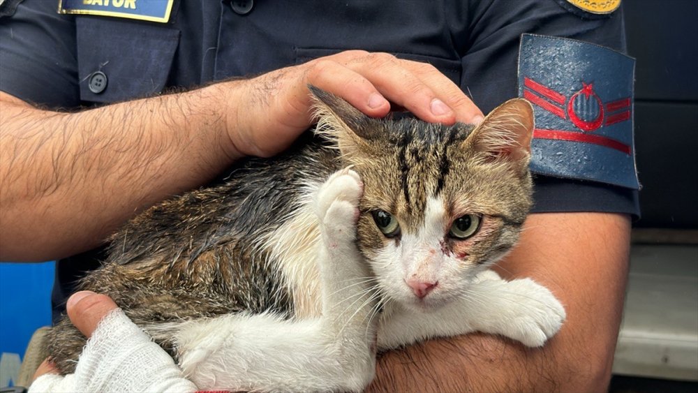 Zonguldak'ta otobüsle kamyonun çarpıştığı kazada 2 kişi öldü, 23 kişi yaralandı