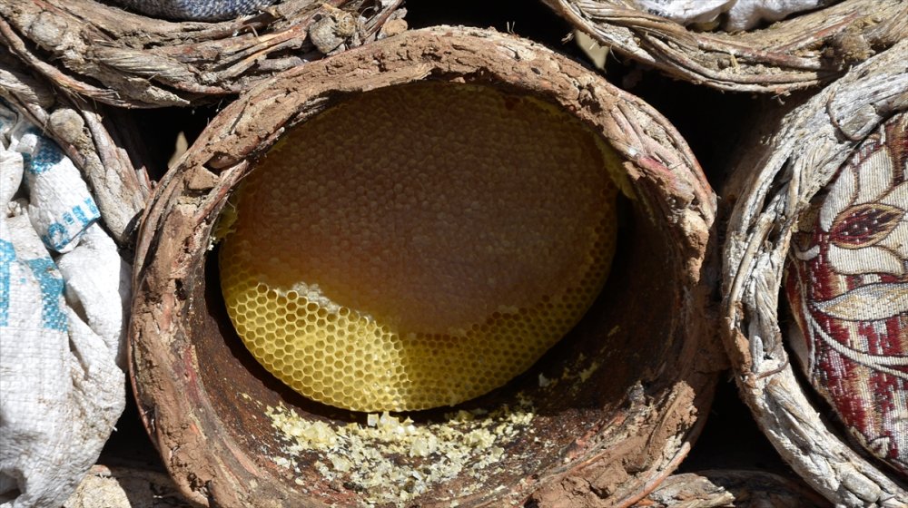 Bitlis'teki yaylalarda KARAKOVAN bal hasadı devam ediyor