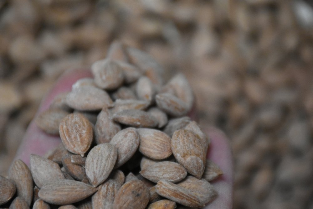 Kayısı çekirdeği ihracatından 10 milyon dolar gelir elde edildi