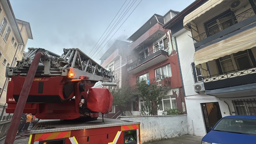 Kocaeli'de çıkan yangında kedi ve köpek kurtarıldı