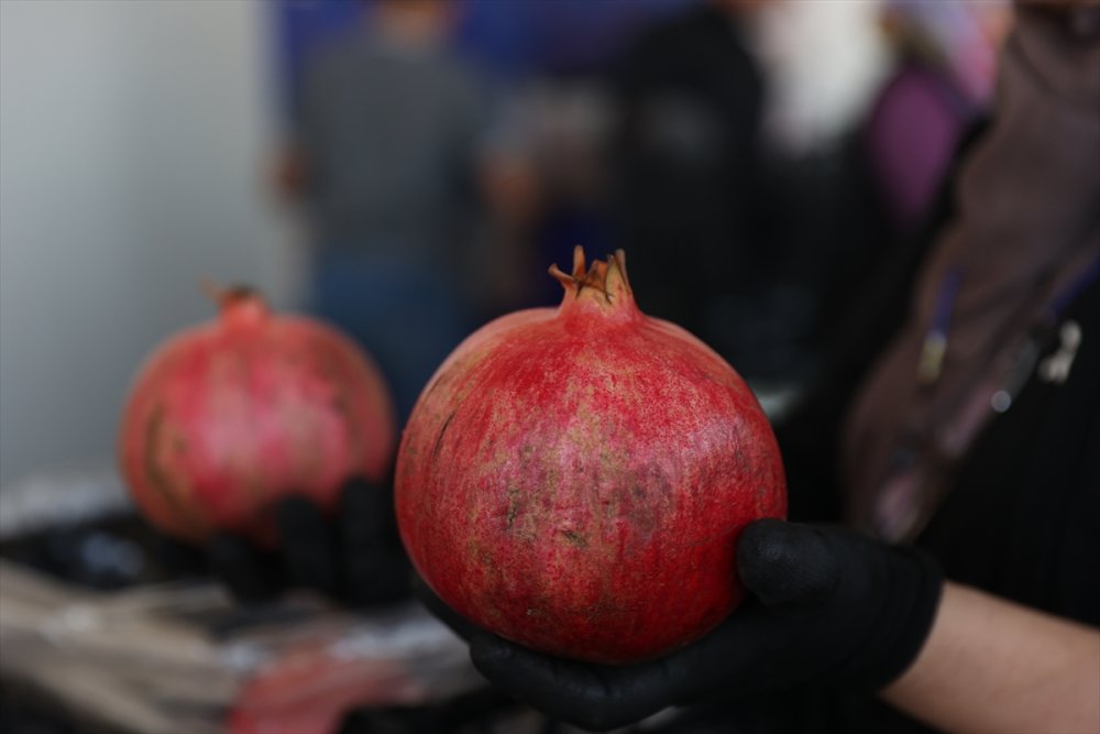 Türkiye'nin nar üretiminin yüzde 21'i Antalya'dan