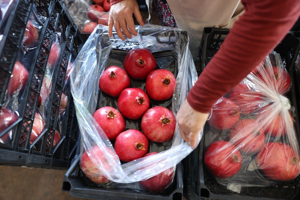 Türkiye'nin nar üretiminin yüzde 21'i Antalya'dan