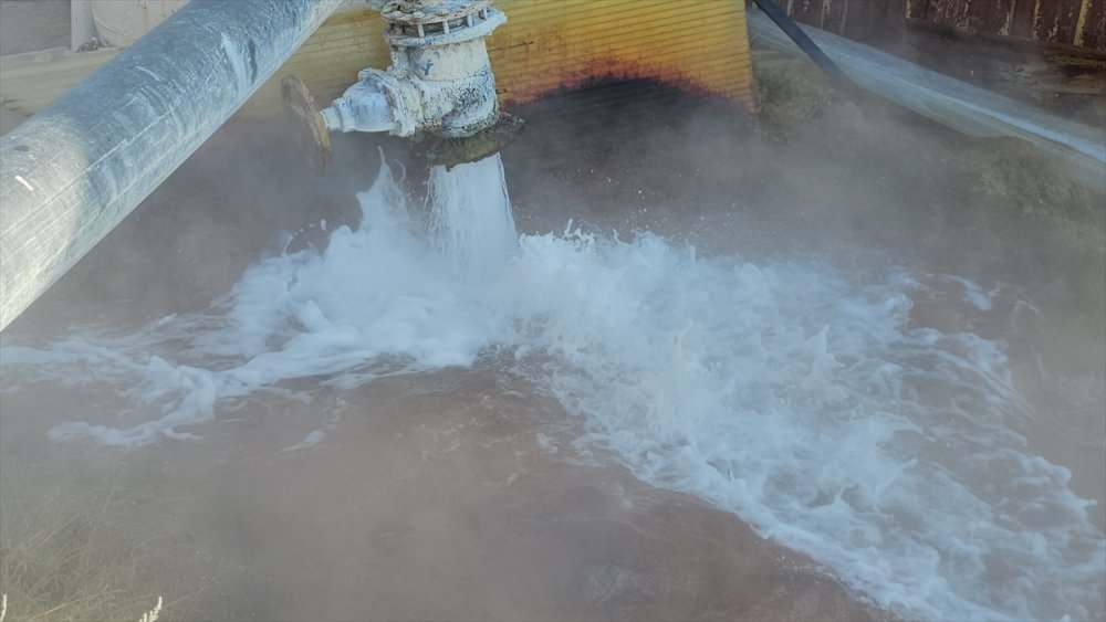 Erzincan'da jeotermal serada üretilen domatesler ihraç ediliyor