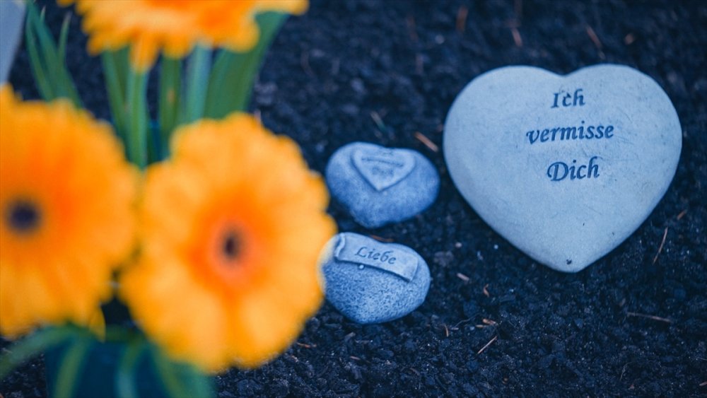 TRT World'den çok önemli "Neo-Nazi Cinayetleri" belgeseli