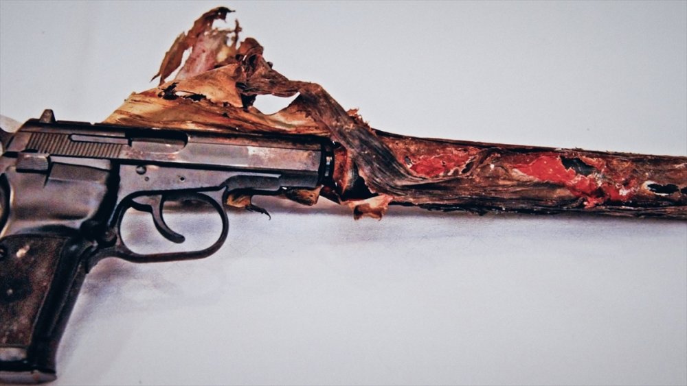 TRT World'den çok önemli "Neo-Nazi Cinayetleri" belgeseli