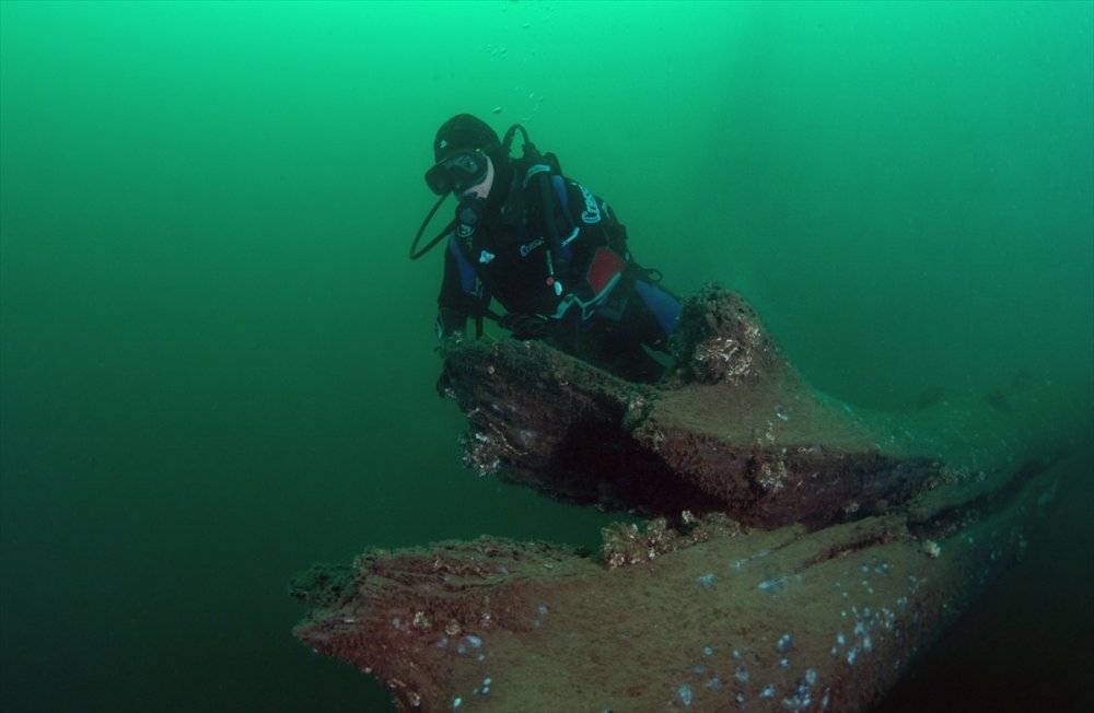 Gölcük Depreminde su altında kalmışlardı. O çınar ağaçları görüntülendi