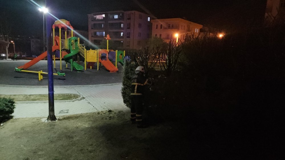 Çorum'da çocuk parkına torpil atıldı, çıkan yangında parktaki ağaçlar zarar gördü