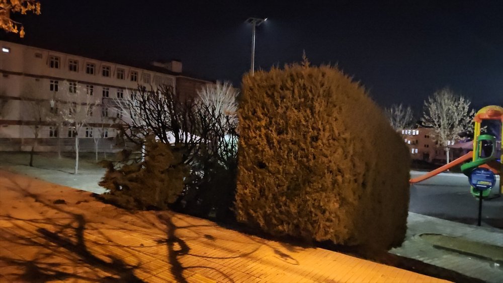 Çorum'da çocuk parkına torpil atıldı, çıkan yangında parktaki ağaçlar zarar gördü