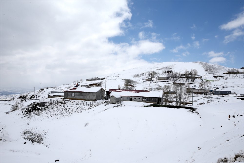 Muş'ta bazı köylerde kar kalınlığı 20 santimetreye ulaştı