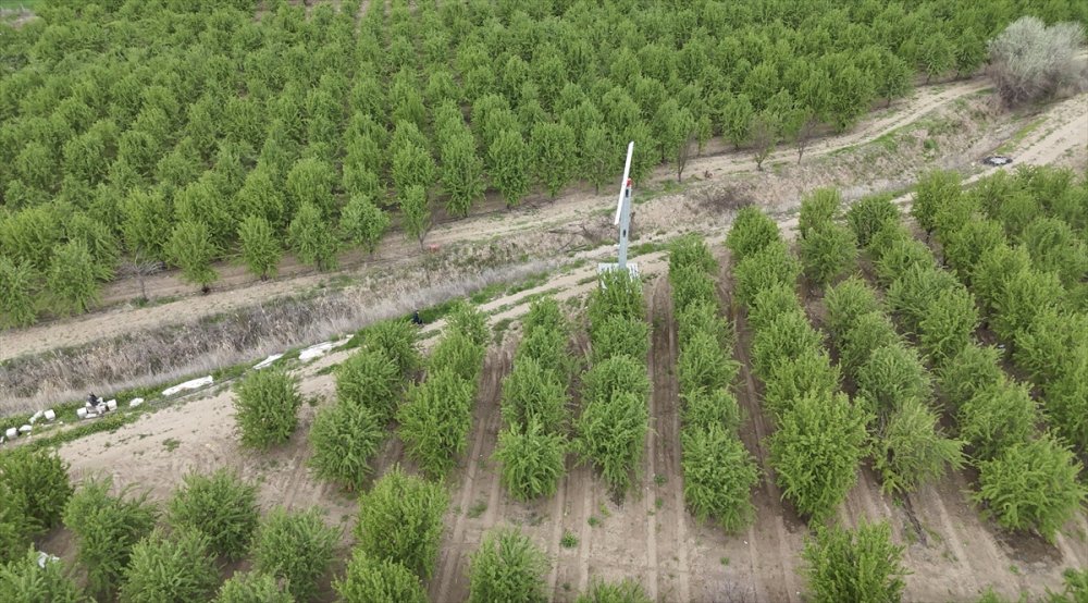 Adıyaman'da don önleyici pervaneler, badem bahçesini zirai dondan korudu