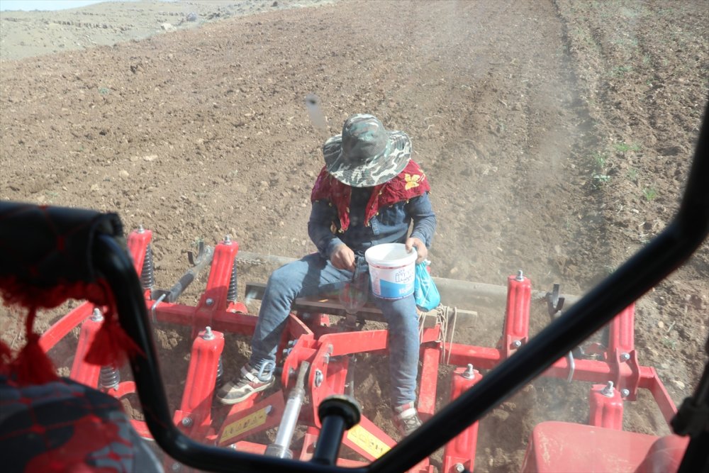 Bereketli Hasat için Batman'da kavun ve karpuz tohumları toprakla buluşturuluyor