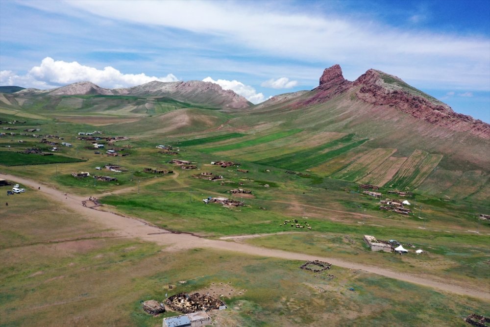 Göçerlerin Tendürek Dağı eteklerinde zorlu hayvancılık mesaisi başladı