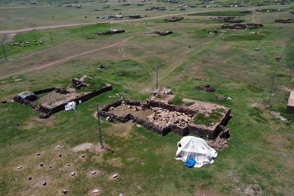 Göçerlerin Tendürek Dağı eteklerinde zorlu hayvancılık mesaisi başladı