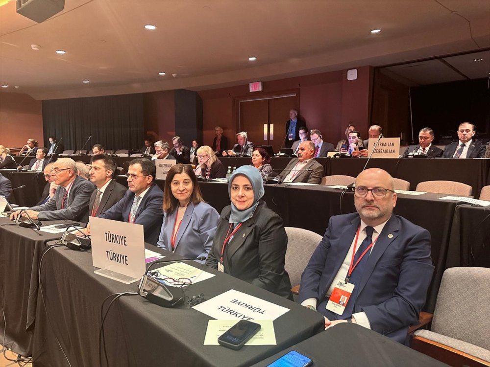 AK Parti Kadın Kolları Başkanı Ercan, Kadın varsa umut vardır, istikrar vardır, barış vardır.