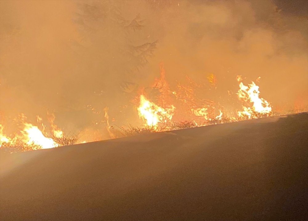 Bilecik Söğüt’te seyir halindeki traktörün römorkundaki saman balyaları yandı
