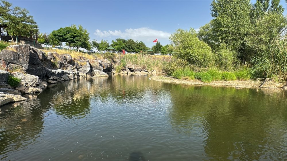 Su Altı kamerayla görüntülenen Van Gölü'nün "yavru incileri" dönüş yolculuğunda