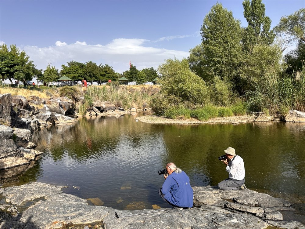 Su Altı kamerayla görüntülenen Van Gölü'nün "yavru incileri" dönüş yolculuğunda