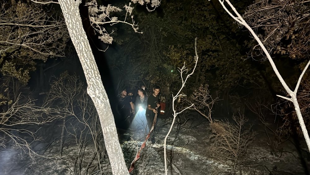 Kocaeli'de ormanlık alanda çıkan yangın kontrol altına alındı