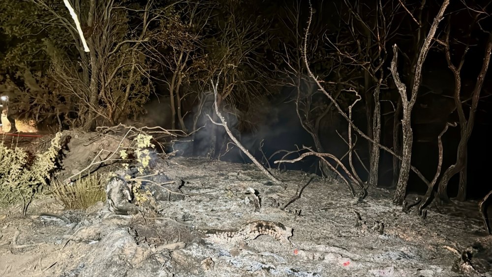 Kocaeli'de ormanlık alanda çıkan yangın kontrol altına alındı