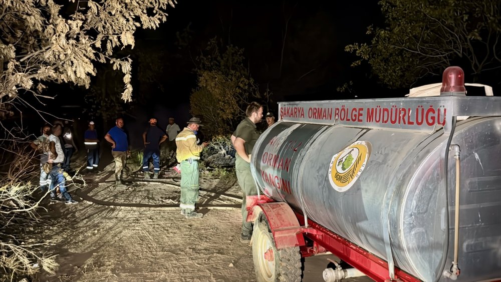 Kocaeli'de ormanlık alanda çıkan yangın kontrol altına alındı