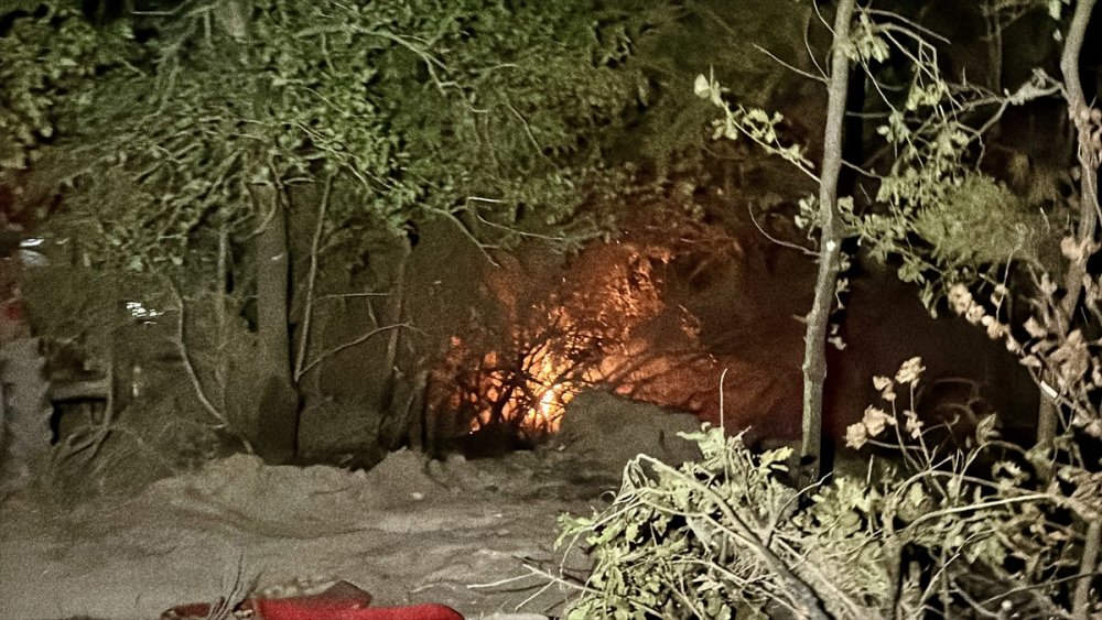 Kocaeli'de ormanlık alanda çıkan yangın kontrol altına alındı