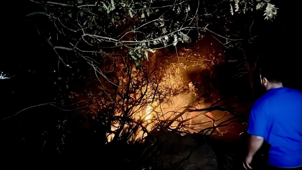 Kocaeli'de ormanlık alanda çıkan yangın kontrol altına alındı