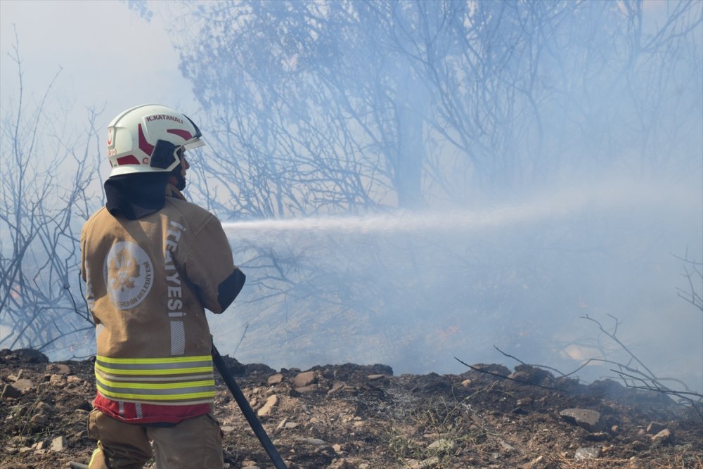Manisa'da tarım arazisinde yangın çıktı ve makilik alana sıçradı