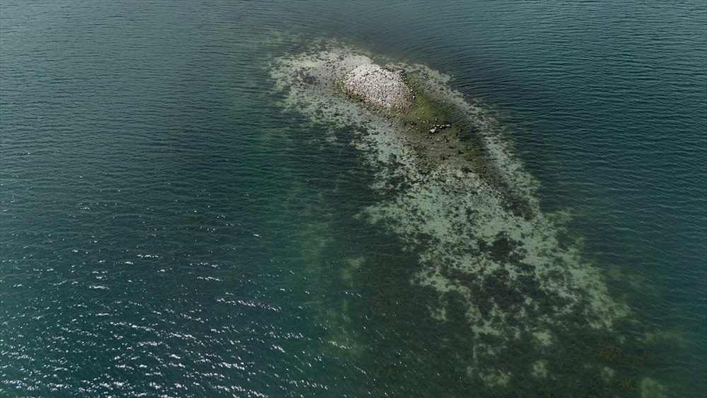 Sapanca Gölü Kritik Seviyenin Altına Düştü