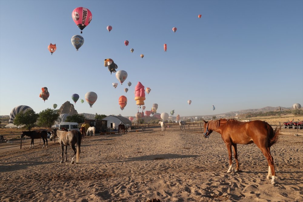 Kapadokya'da figürlü sıcak hava balonları gösteri uçuşu yaptı