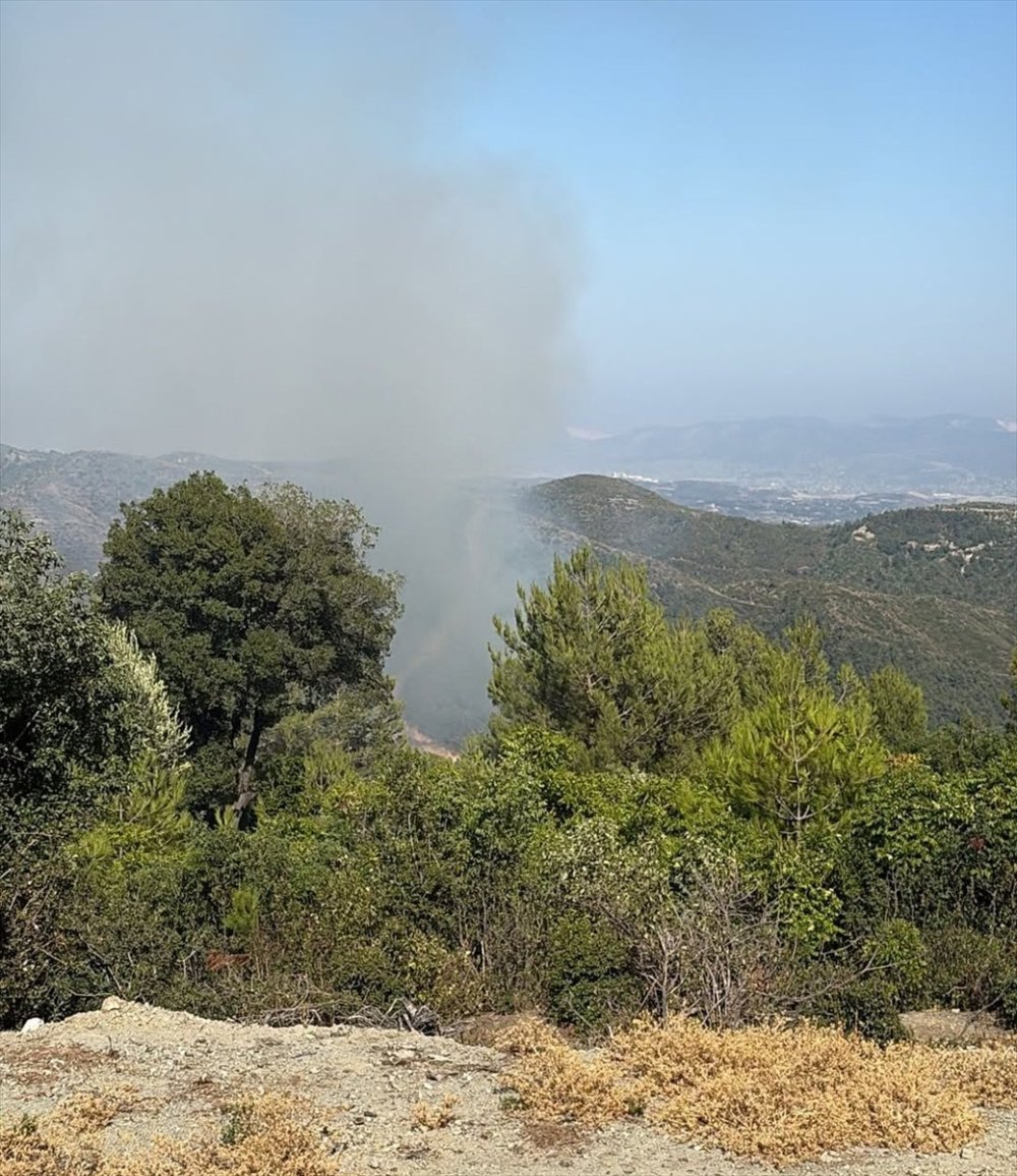 Hatay Samandağ’da ormanlık alanda çıkan yangın söndürüldü
