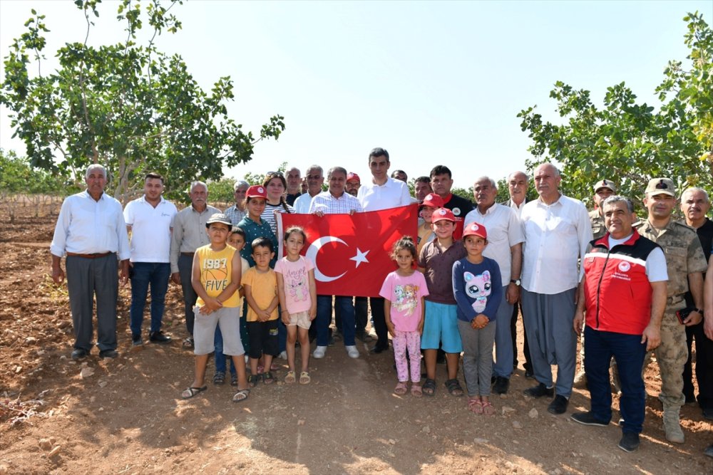 Şanlıurfa Valisi Hasan Şıldak, Antep fıstığı hasadına katıldı