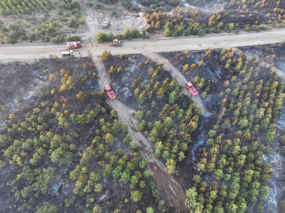 Edirne'de çıkan orman yangını kontrol altına alındı