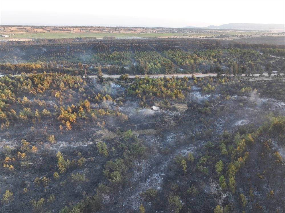 Edirne'de çıkan orman yangını kontrol altına alındı