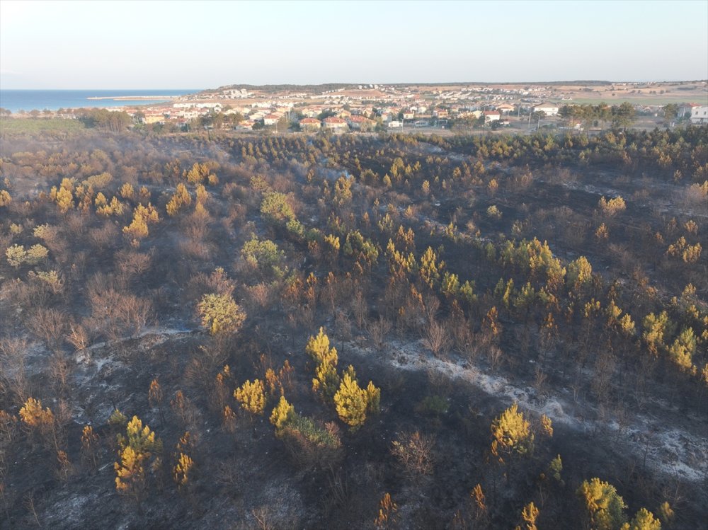 Edirne'de çıkan orman yangını kontrol altına alındı