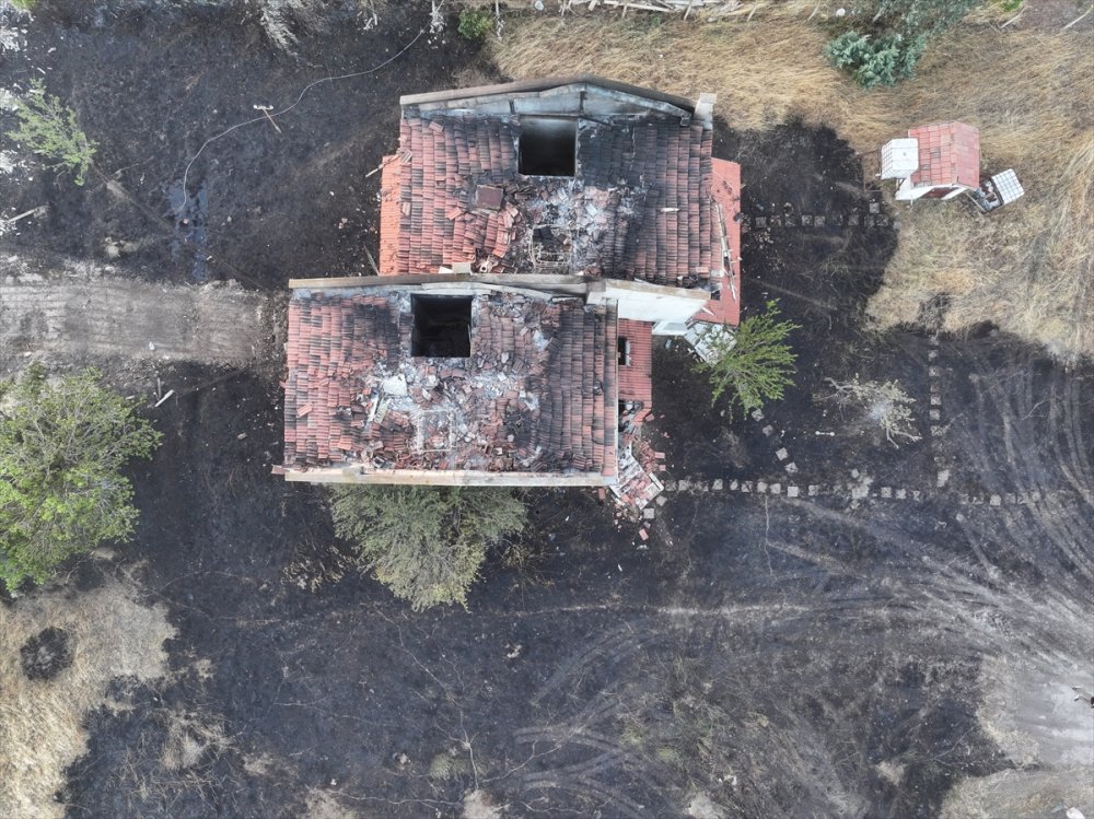 Edirne'de çıkan orman yangını kontrol altına alındı