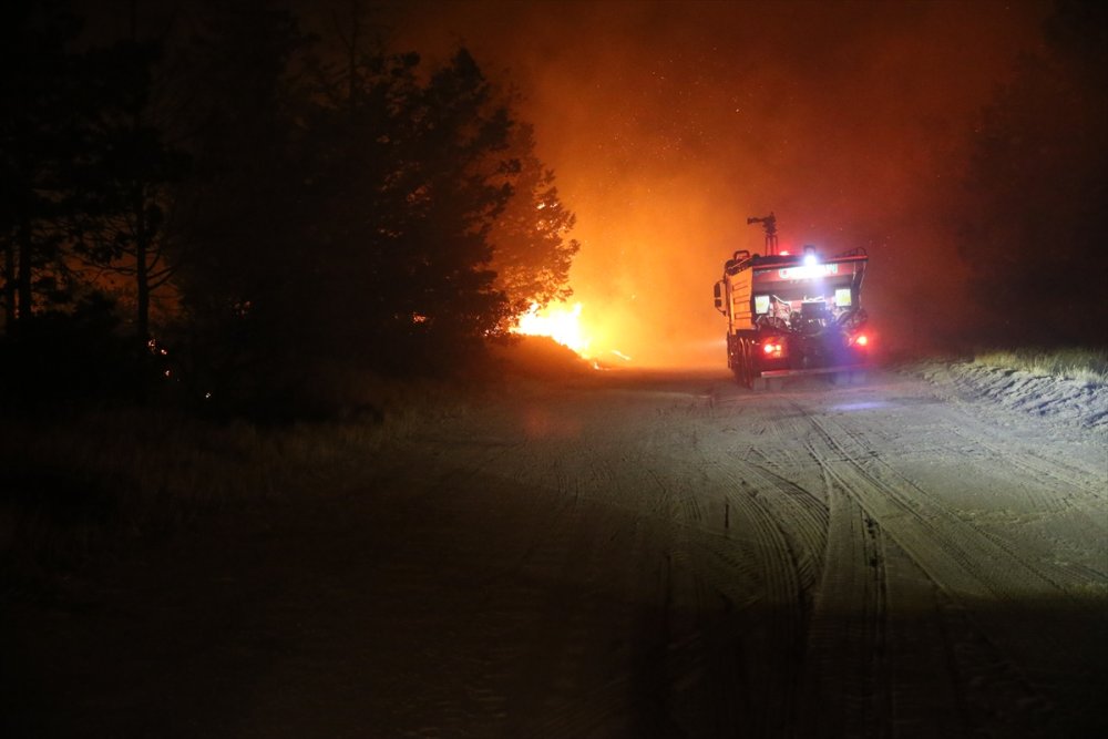 Edirne'de çıkan orman yangınına müdahale sürüyor
