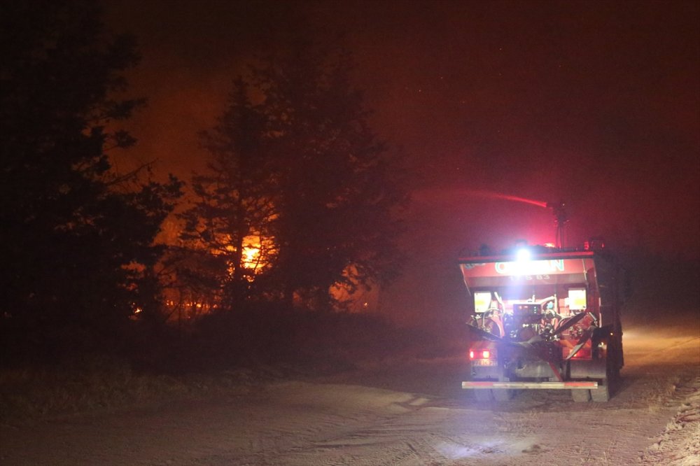 Edirne'de çıkan orman yangınına müdahale sürüyor