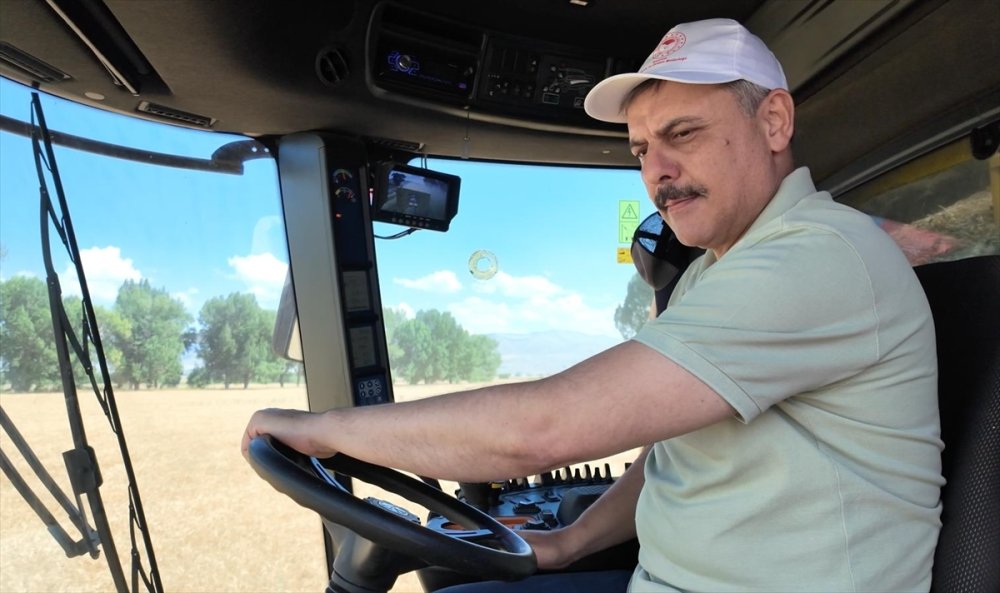 Erzurum Valisi Çiftçi, öğrencilerin ektiği buğdayın biçerdöverle hasadını yaptı