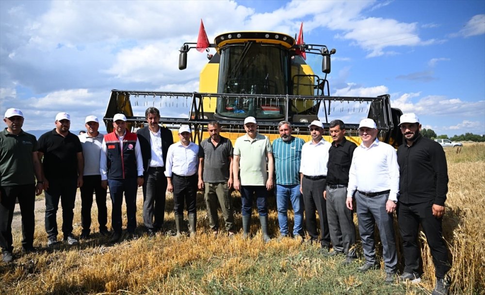 Erzurum Valisi Çiftçi, öğrencilerin ektiği buğdayın biçerdöverle hasadını yaptı