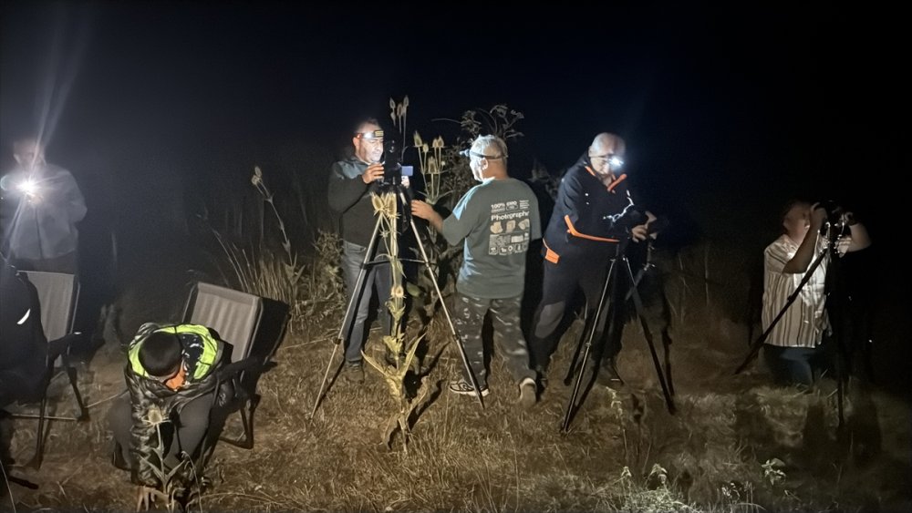 Bolu'da göktaşı yağmuru etkinliği düzenlendi